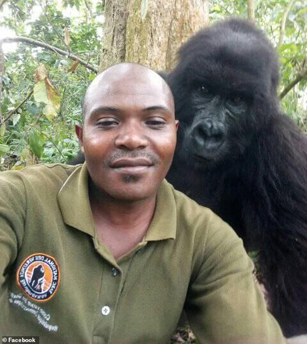 selfie-con-gorilas-4.jpg