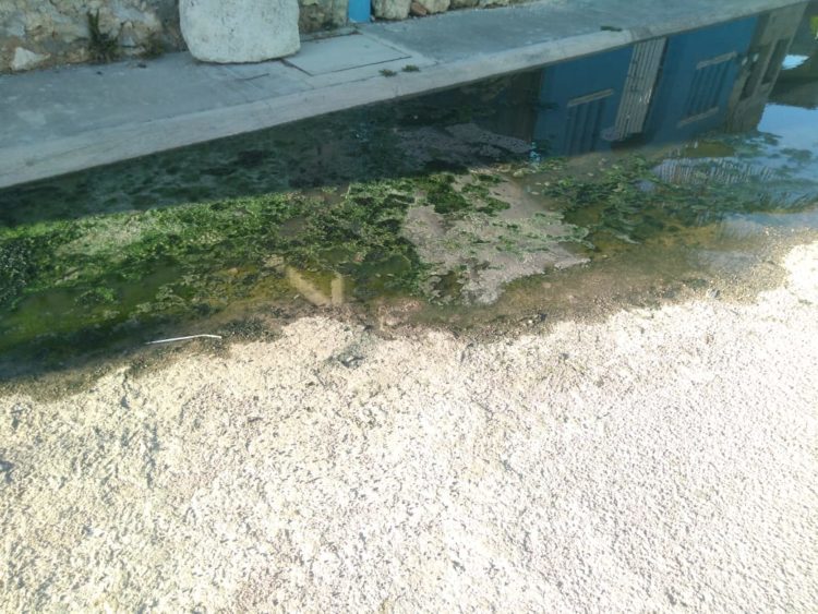 aguas negras en la Selva