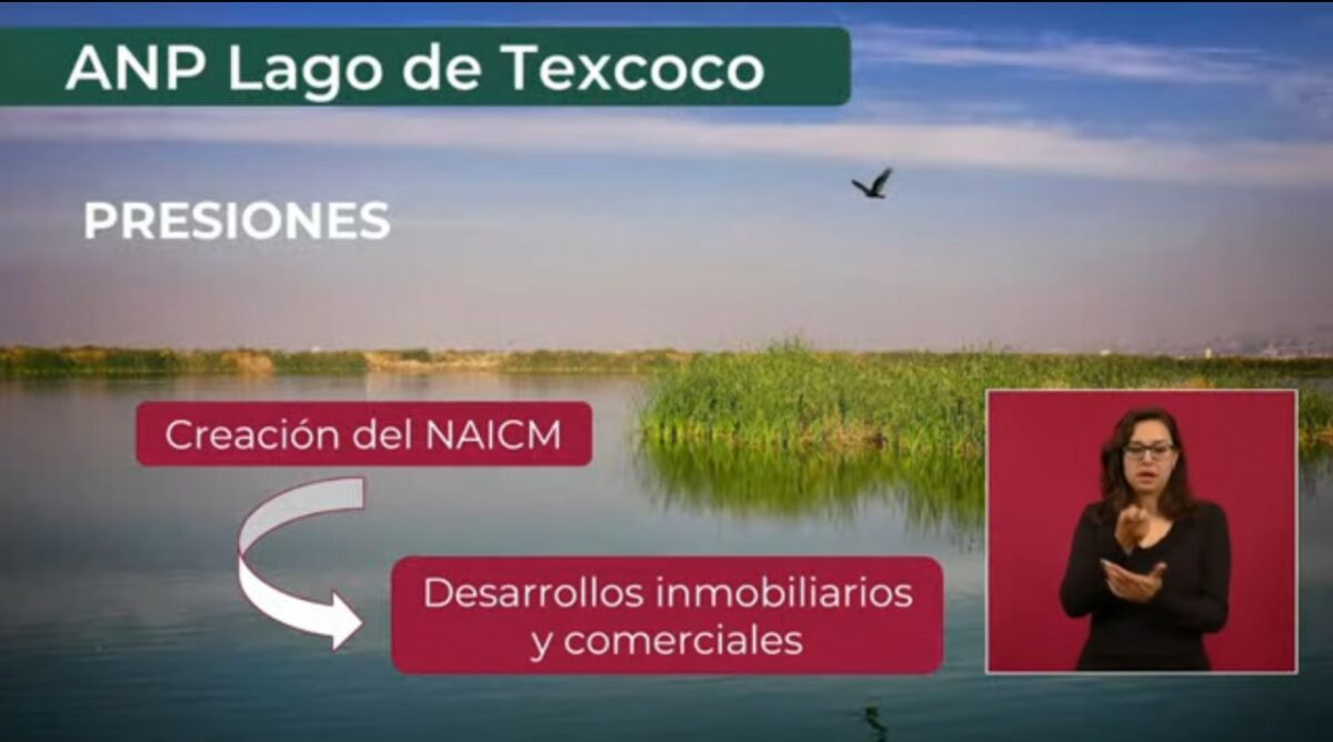 Declaran Área Natural Protegida Al Lago De Texcoco “yo Prefiero El Lago” Radio Turquesa Noticias 7441